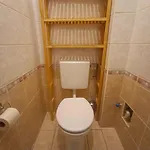 Apartment R171 Elitehost Raday Budapest